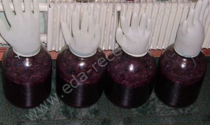 Вино из винограда северных сортов