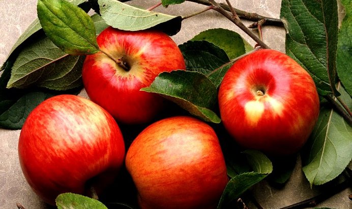 Ржаная шарлотка с яблоками