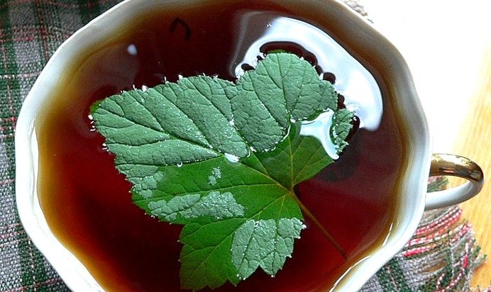 Чай с листьями смородины