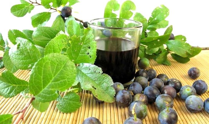 Вино из терновника