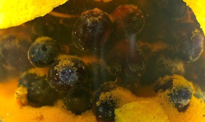 Моченый виноград по‑кубански