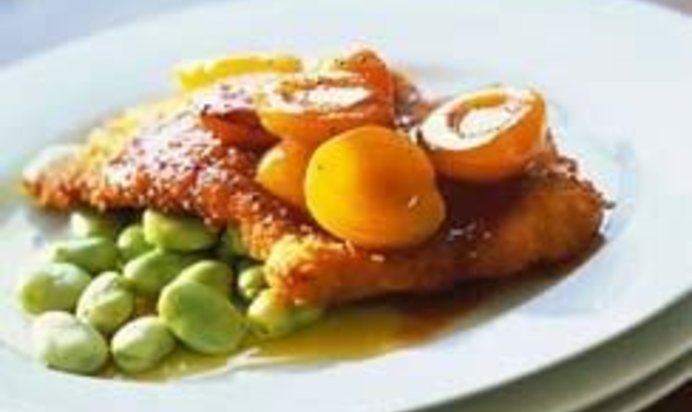 Свиной шницель с абрикосами