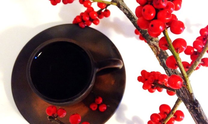 Отвар из шиповника с апельсином