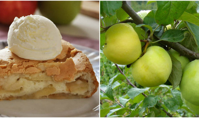 Блинчики из лаваша