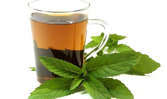 Мятный травяной чай