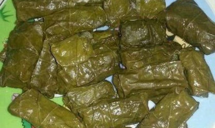 Долма из свежих виноградных листьев