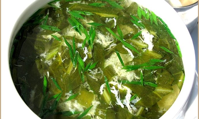 Зелёные щи с щавелем