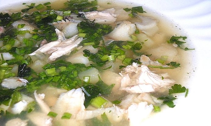 Уха из судака