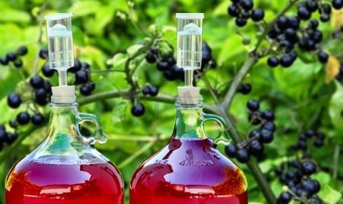 Домашнее вино из санберри