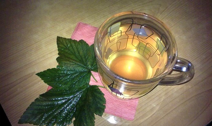 Чай из черной смородины