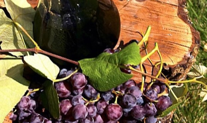 Домашнее вино из лидии