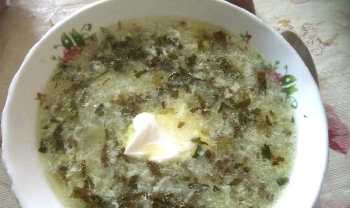 Зеленый борщ без мяса