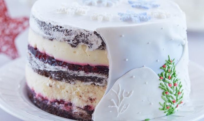 Шоколадный торт «Клюква в снегу»