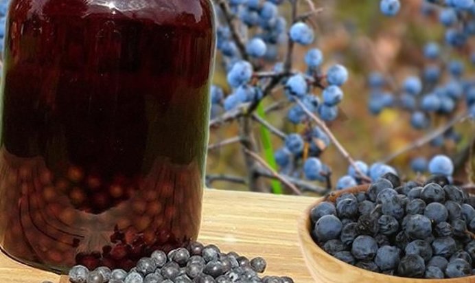 Домашнее терновое вино из терна