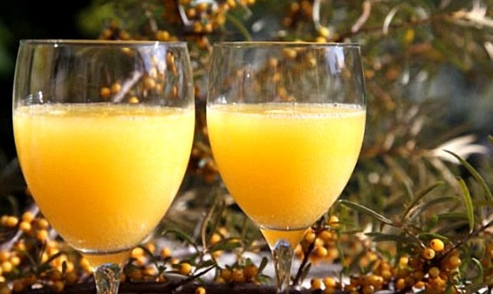 Домашнее вино из облепихи