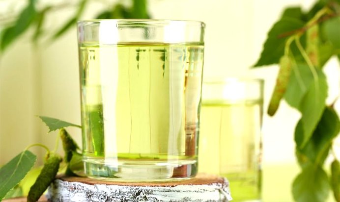 Вино из березового сока без кипячения