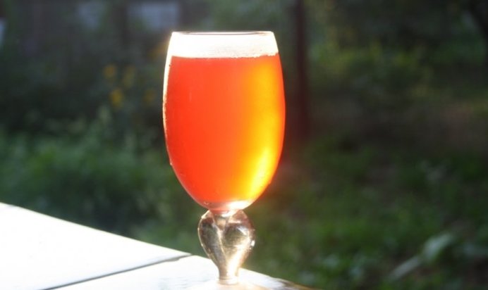 Компот из алычи, абрикос и летних ягод