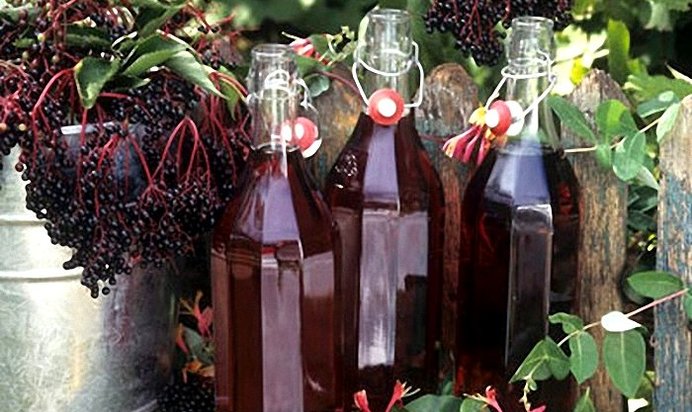 Самогон из черноплодной рябины