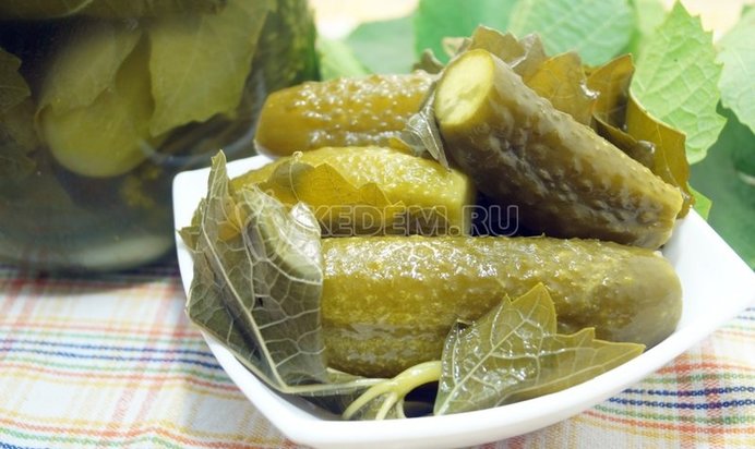 Солёные огурцы в листьях винограда