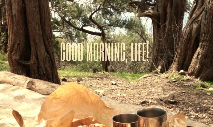 Кекс с изюмом на фруктозе