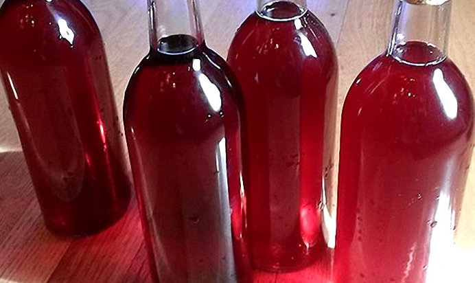 Вино из черноплодки в домашних условиях