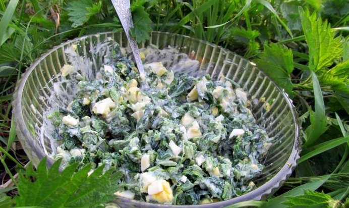 Салат из крапивы