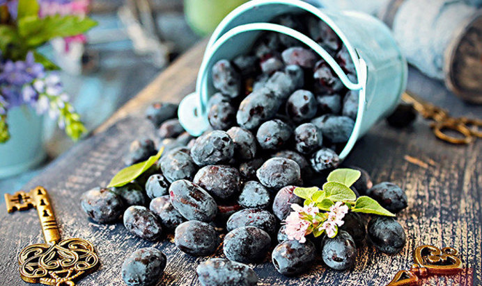 Кисель из жимолости