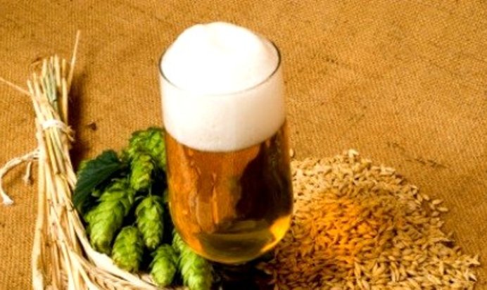 Домашнее пиво из ячменя