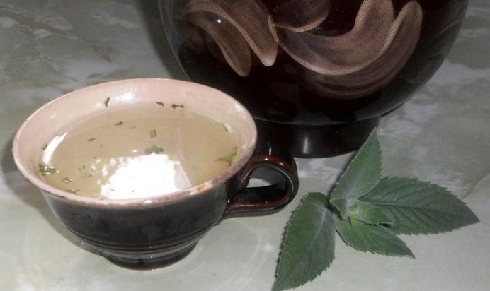 Освежающий напиток из эстрагона и лимона