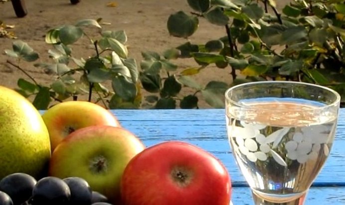 Самогон из винограда в домашних условиях