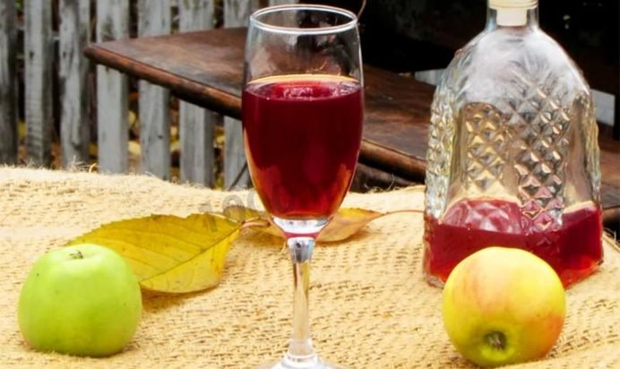 Вино из алычи простое домашнее