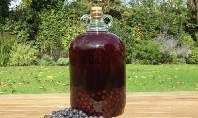 Вино из терна