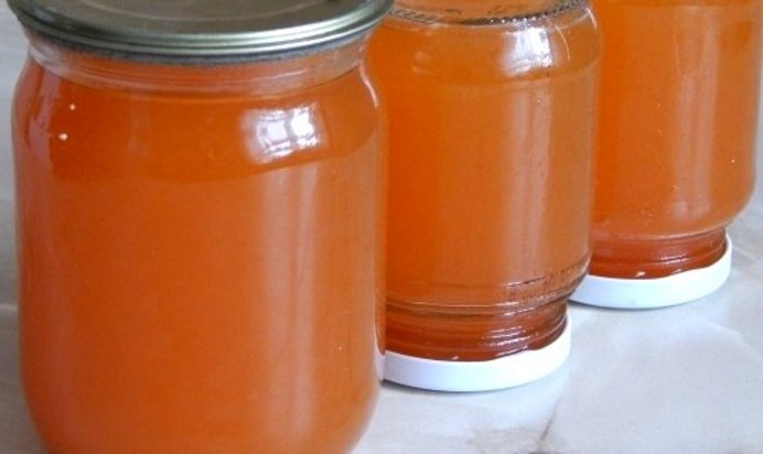 Сироп из плодов шиповника