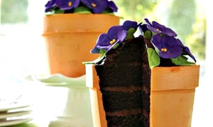 Торт Цветок в горшке