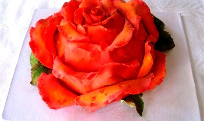 Торт из трюфельной массы