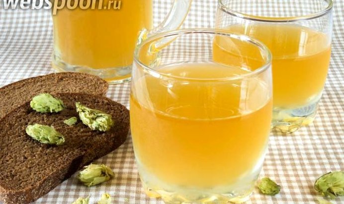 Домашний хлебный квас с шишками хмеля