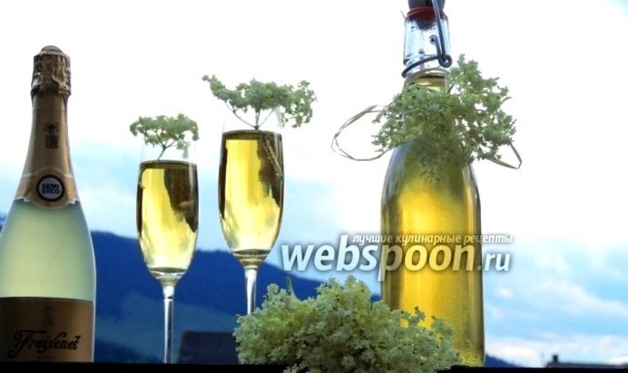 Сироп из соцветий бузины чёрной