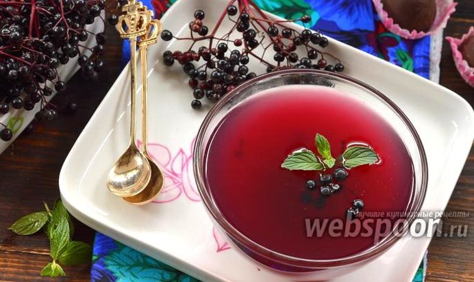 Кисель из чёрной бузины