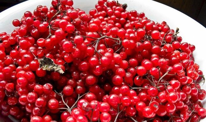 Калиновый сок