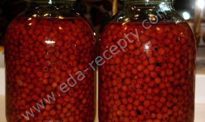 Черноплодная наливка из рябины