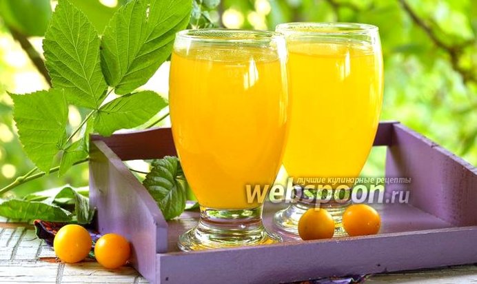 Кисель из алычи