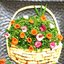 Салат "Корзинка