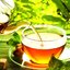 Чай из листьев черной смородины