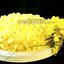 Итальянский торт «Мимоза»