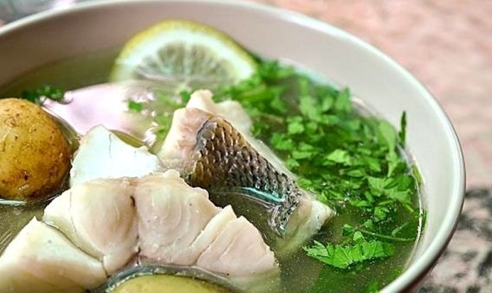 Уха рыбацкая