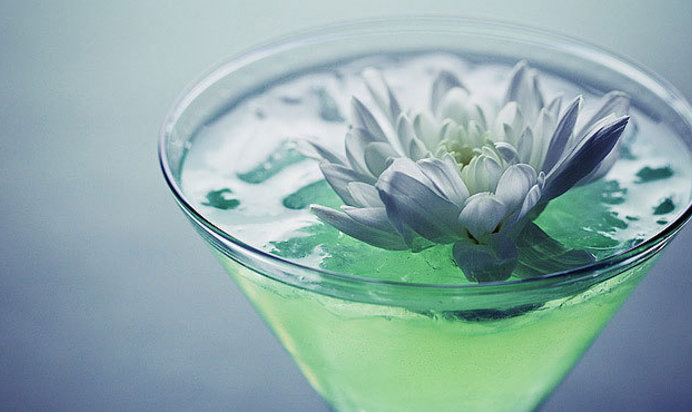 Хризантема