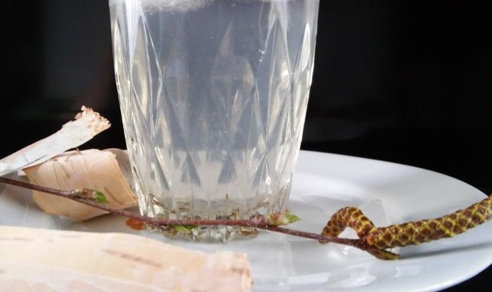 Лимонад из берёзового сока