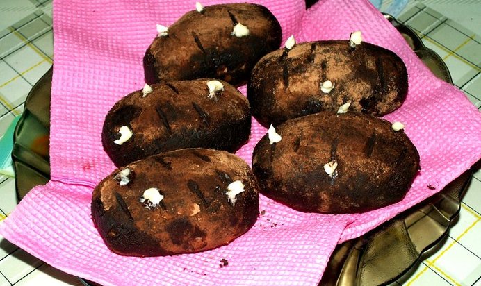 Пирожное Картошка в домашних условиях