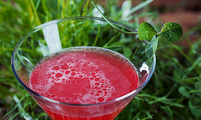 Клеверный Клуб