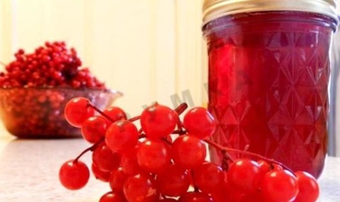 Сироп из калины на зиму